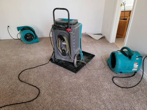 Best Water damage restoration specialists  in Yacolt, WA