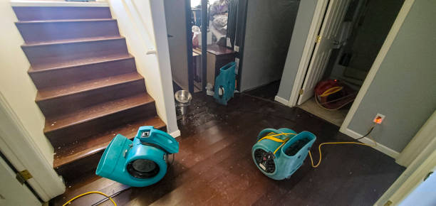  Yacolt, WA Water damage restoration Pros