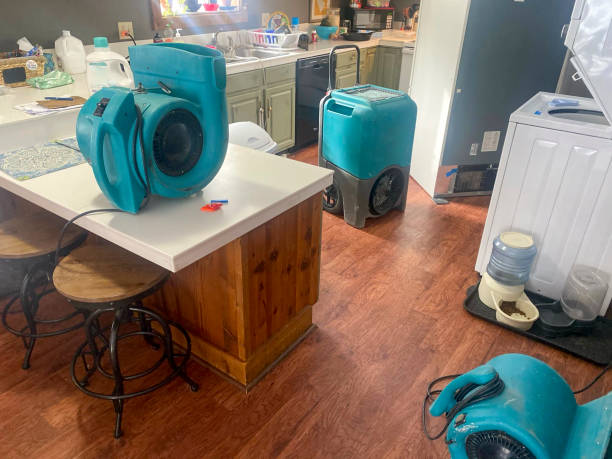 Best Residential water damage restoration  in Yacolt, WA