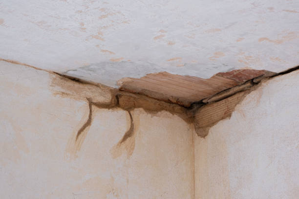 Best Flooded house restoration  in Yacolt, WA