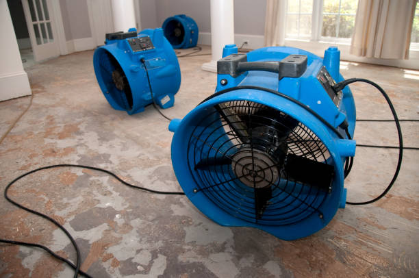 Best Fire Damage Restoration  in Yacolt, WA