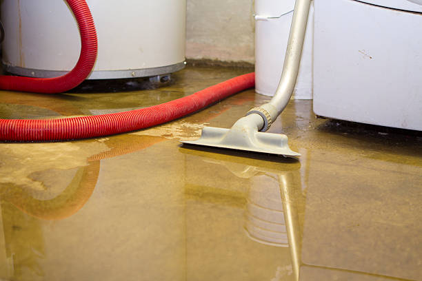 Best Professional water damage repair  in Yacolt, WA