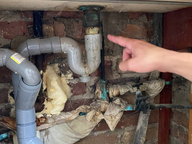 Best Fire Damage Restoration  in Yacolt, WA