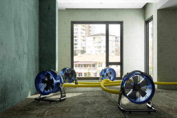Best 24-hour water damage restoration  in Yacolt, WA